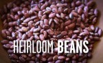 Rancho Gordo bean recipes