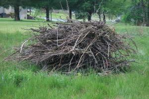 Sticks moved so I could plant elderberries.