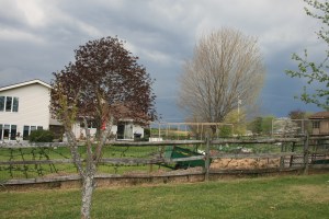 Spring list of chores