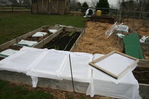 free curtains and free frames