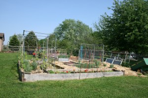 2018 Garden enjoying sun