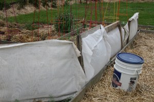 WIndow frames as wind breaks